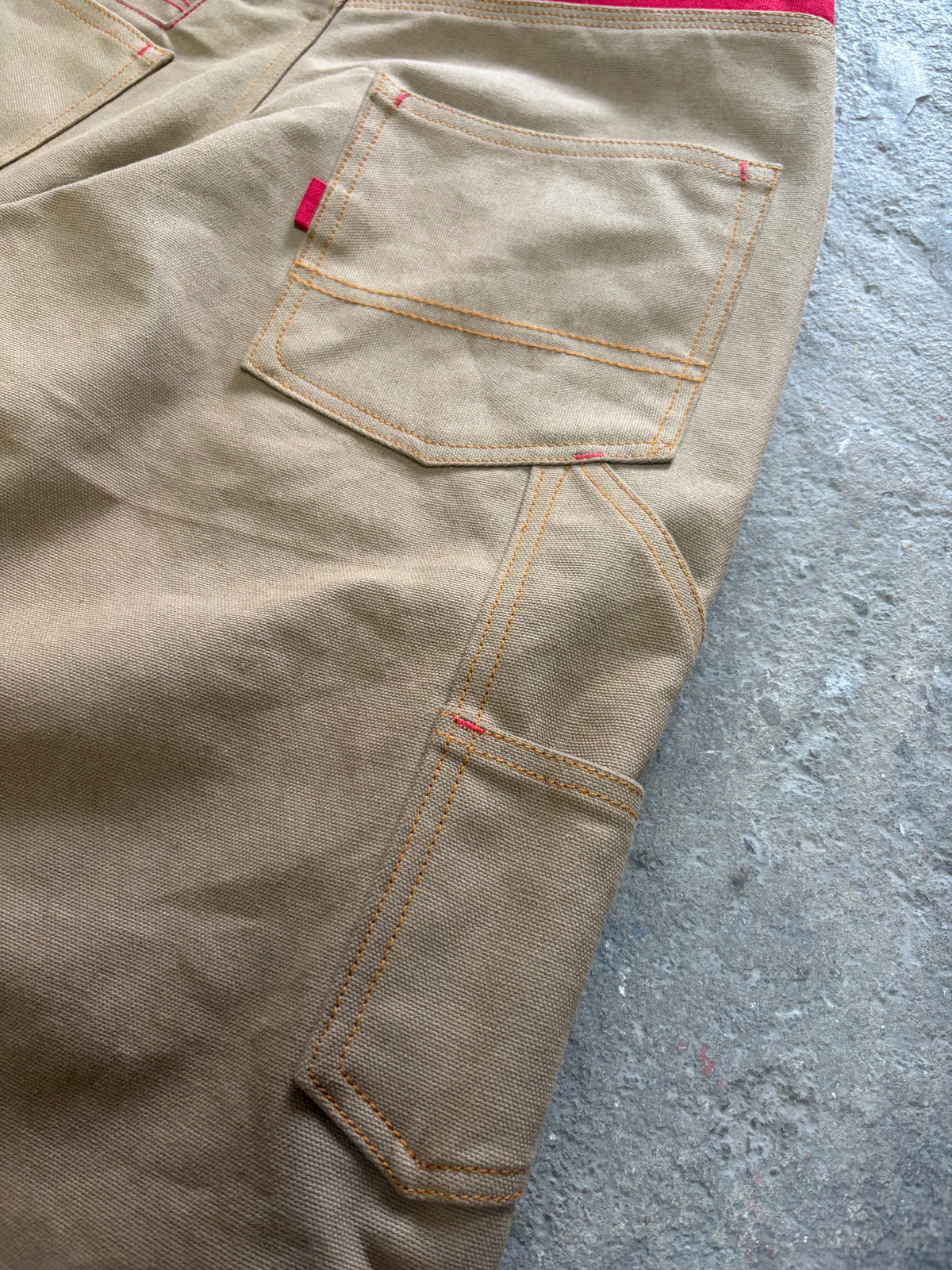 CARPENTER R-ANTS